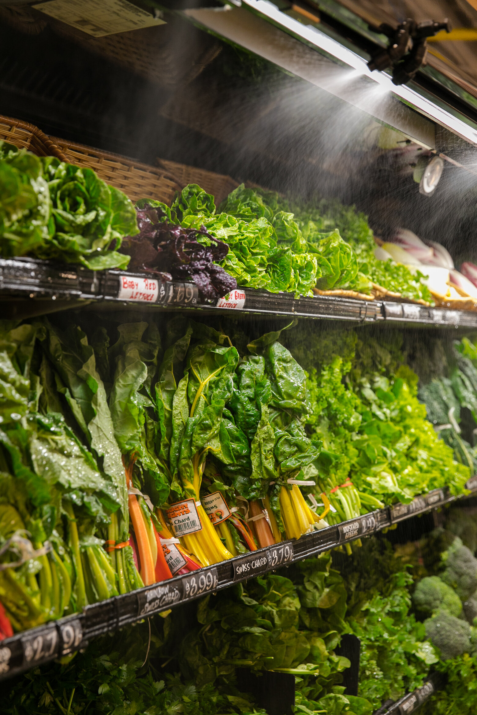 Green vegetables in a case being sprayed with water 