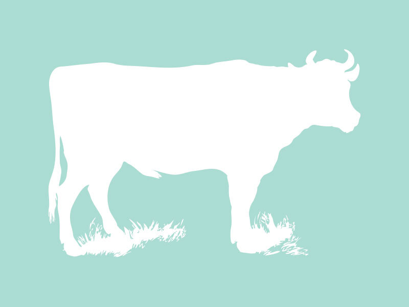 cow_ltblue_800x600.jpg